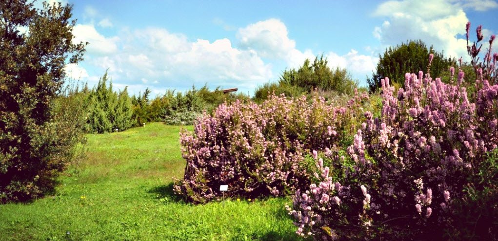 Giardino Botanico Mediterraneo, San Salvo Marina, Italy, Italy